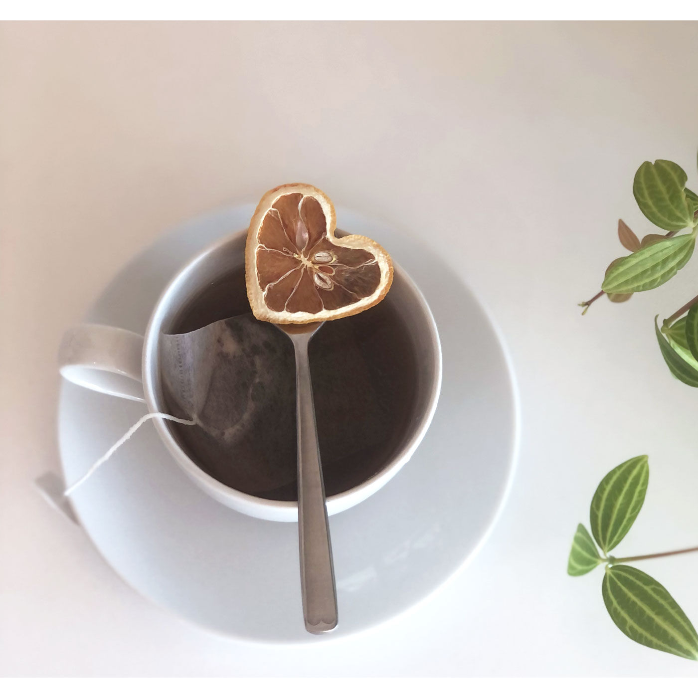 純農の特急便|特急便でお届け☆広島レモンに恋する　フロートレモンティー　レモンハート（出雲）