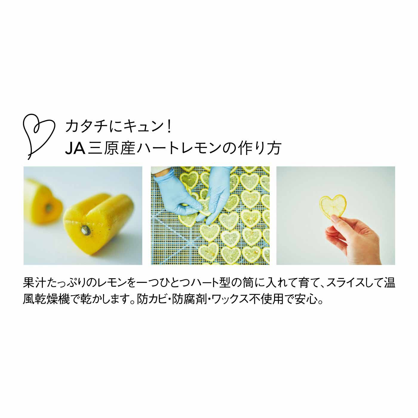 純農の特急便|特急便でお届け☆広島レモンに恋する　フロートレモンティー　レモンハート（出雲）