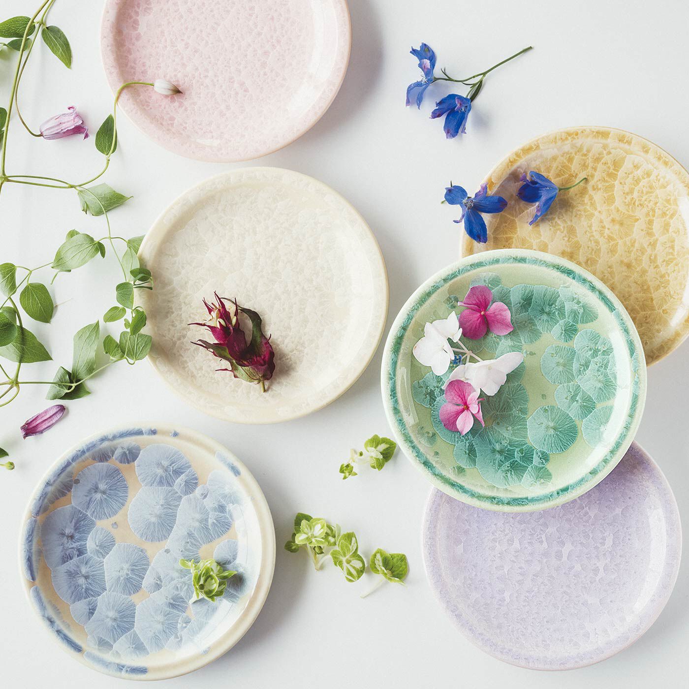 世界にひとつの景色と出会う 咲き誇る花結晶の清水焼〈菓子皿