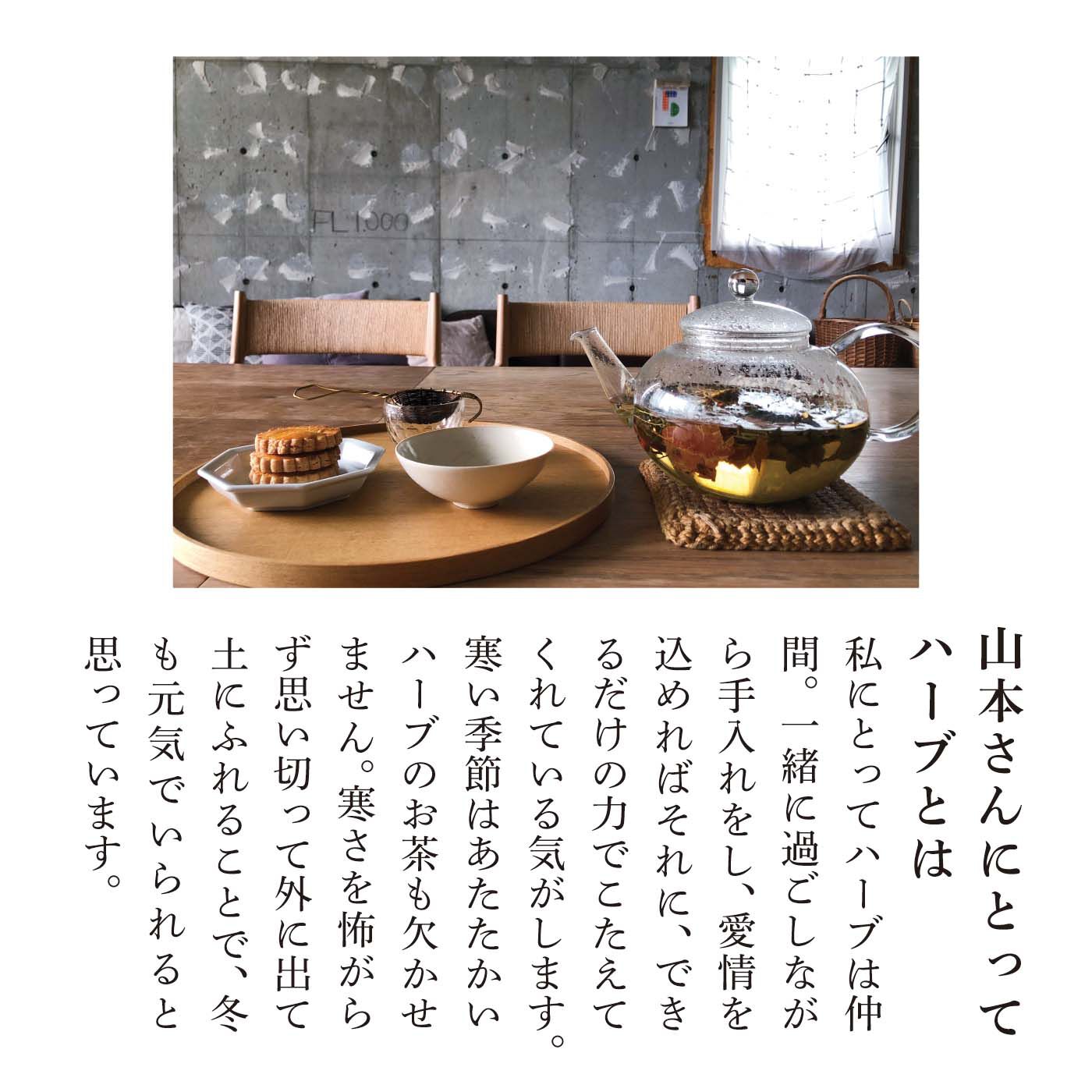 el:ment［エルメント］|el:ment×山本祐布子　あたためハーブ柄をまとう コットン100%ジャカードニットパンツの会