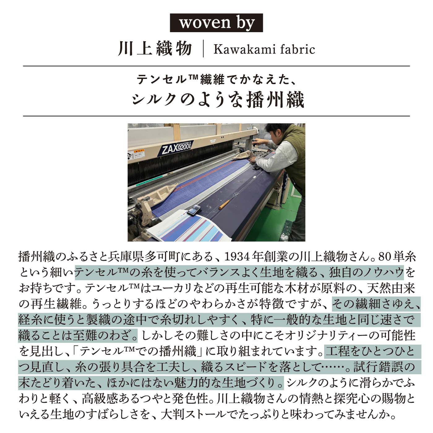 el:ment［エルメント］|【6月分以降お届け】el:ment×川上織物　テンセルTM繊維で織り上げた しなやかで光沢が美しい播州織大判ストールの会