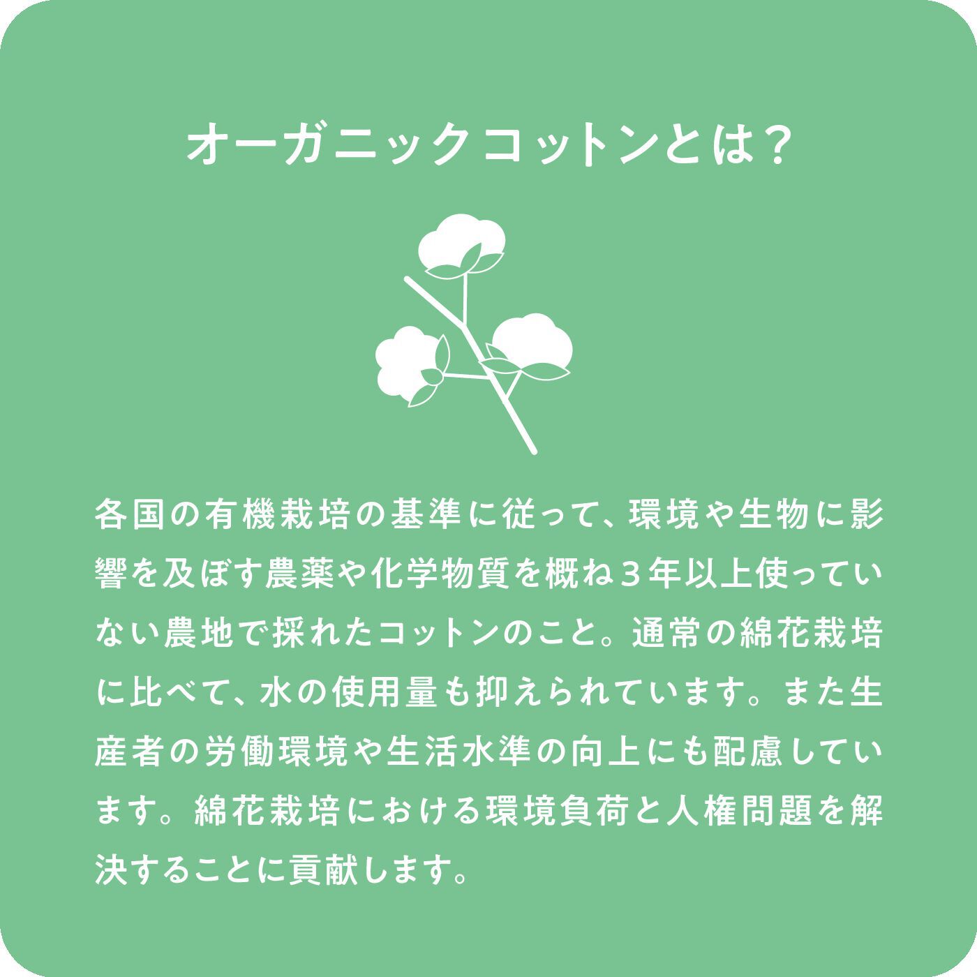 el:ment|Live love cotton（R）プロジェクト　el:ment　オーガニックコットン100％　日本の伝統色を愉（たの）しむ　きれい見えトップスの会