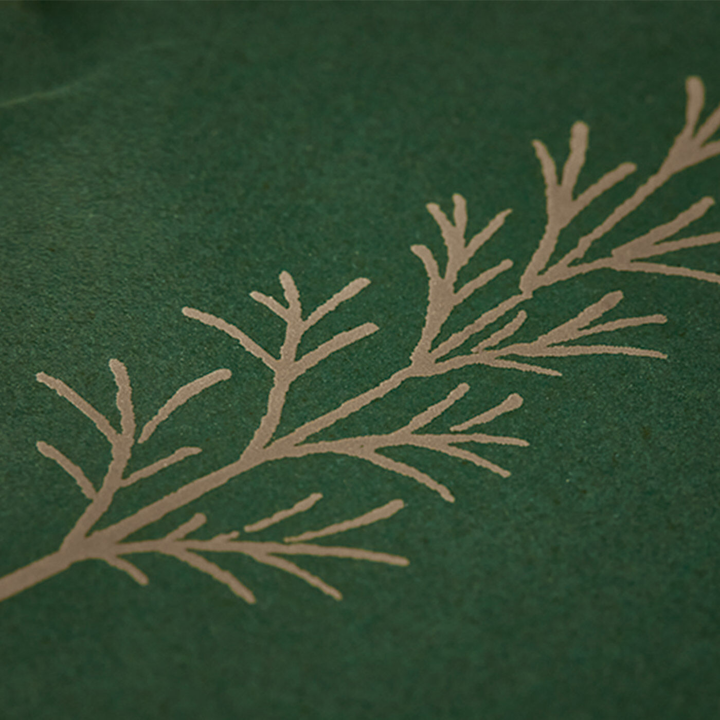 el:ment|mitosaya薬草園蒸留所×el:ment　山本祐布子さんが描く季節の植物を彩る　美濃焼豆うつわの会　（12回予約）|〈上絵転写〉繊細ながらもはっきりとした線の表現が魅力。