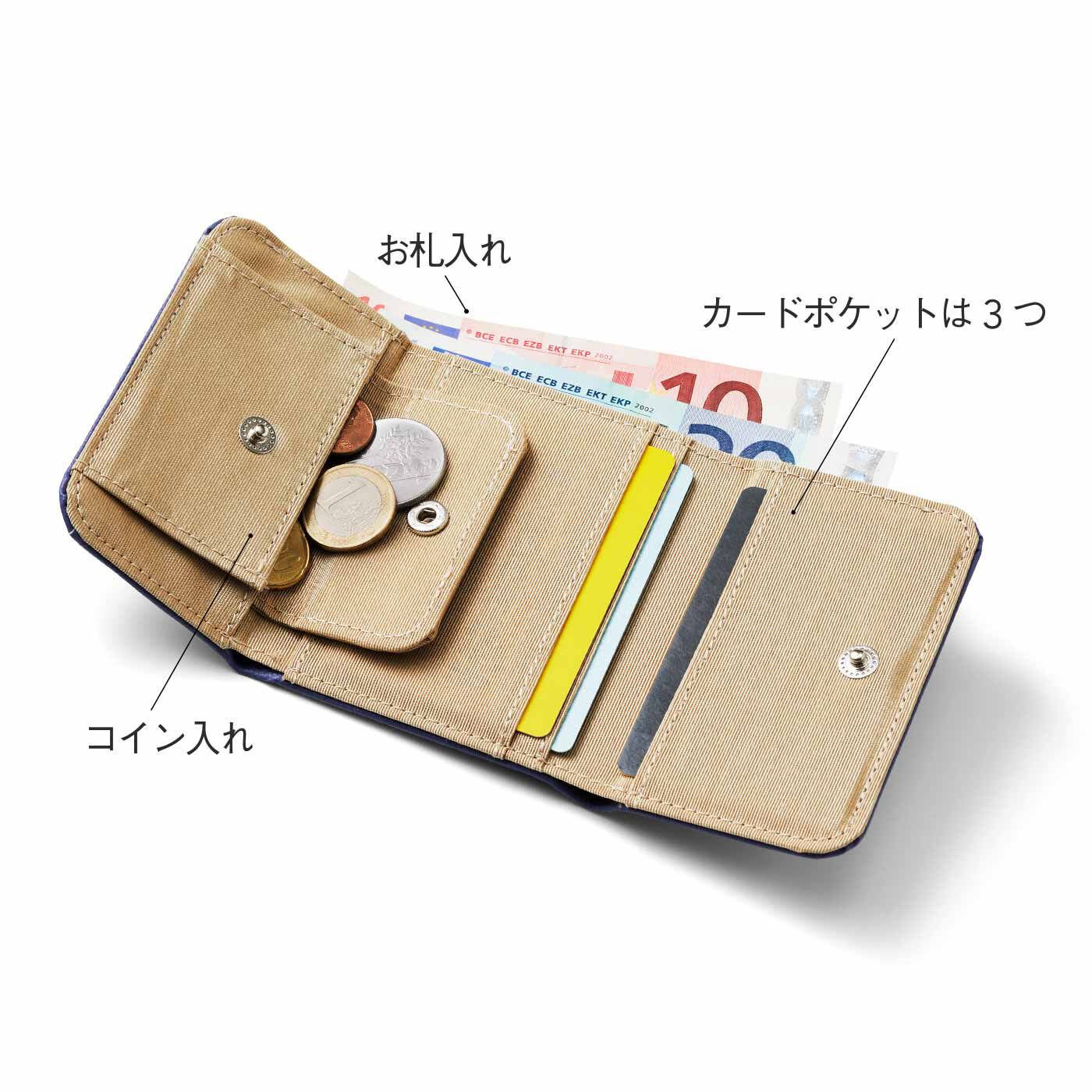 簡9837サカナおまとめ商品 サーナ ヤ オッリ フィンランドの鳥たちが白銀に輝く 手のひら