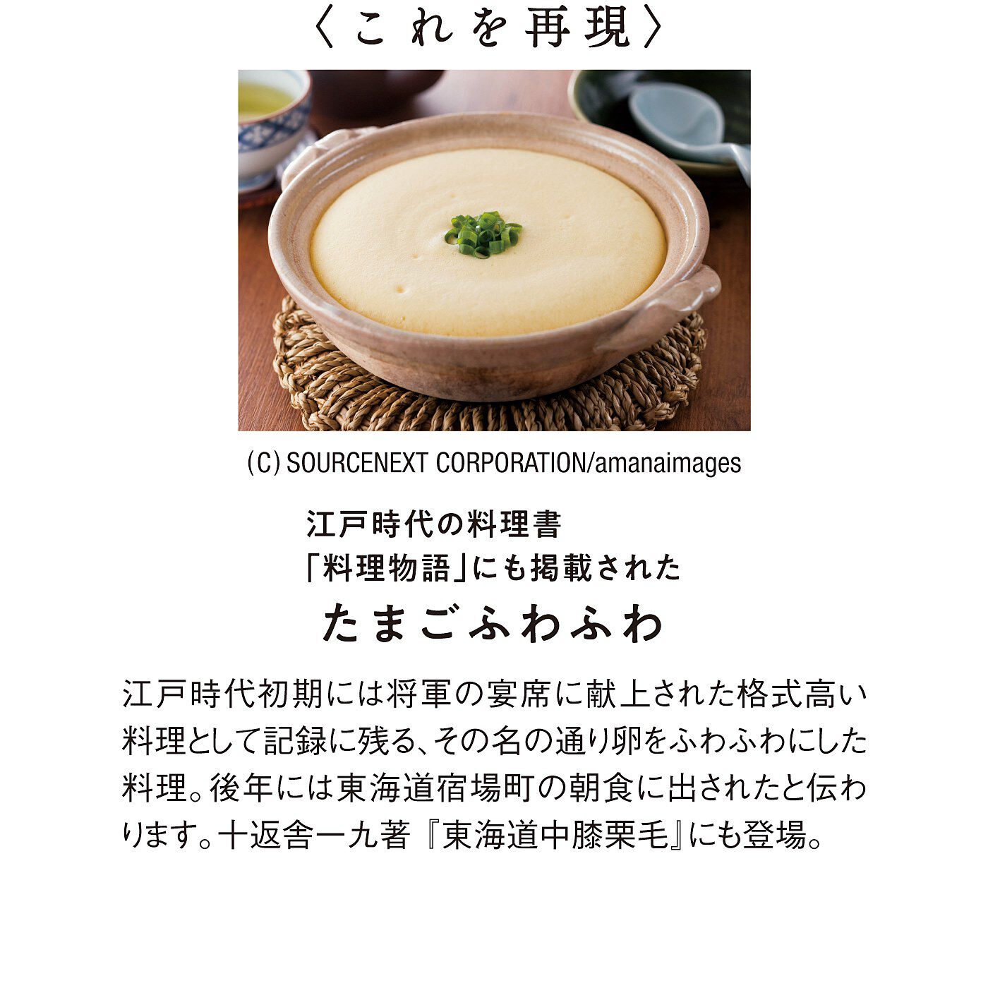 ミュージアム部|ミュージアム部　江戸時代の魅惑のお料理「たまごふわふわ」を愛でるポーチ