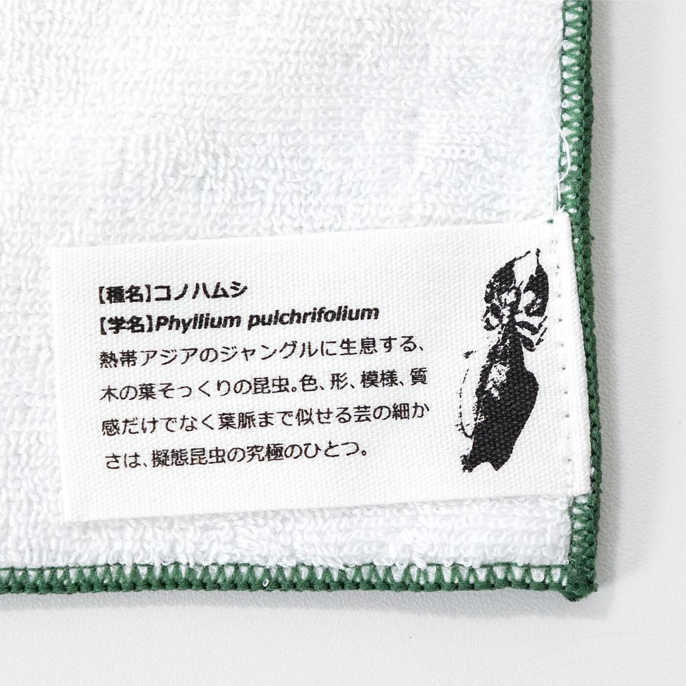 ミュージアム部 ボタニカルアートな雰囲気を楽しむ 擬態昆虫 ハンカチの会｜3回エントリーキャンペーン｜キャンペーン｜美術館や博物館、アートや文学作品のグッズの通販・コミュニティ｜ミュージアム部