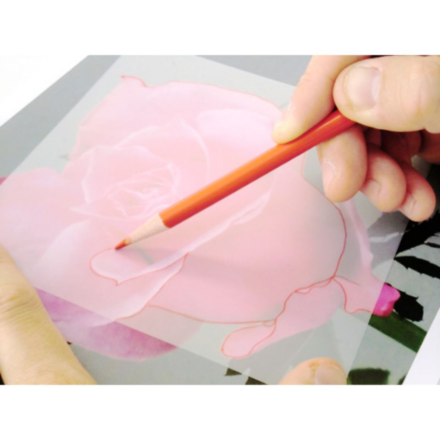ミニツク特急便|脳がめざめるお絵かきプログラム　色えんぴつ編用　紙セット５「バラを描く」