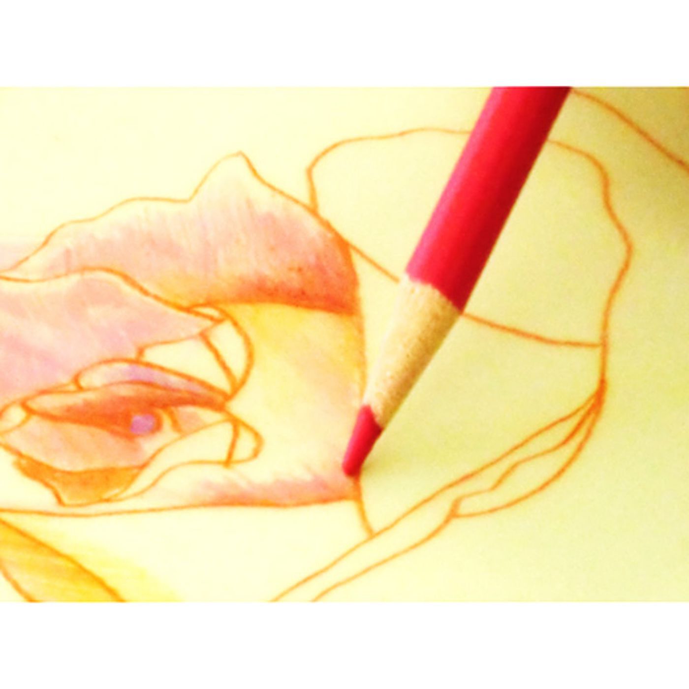 ミニツク特急便|脳がめざめるお絵かきプログラム　色えんぴつ編用　紙セット５「バラを描く」