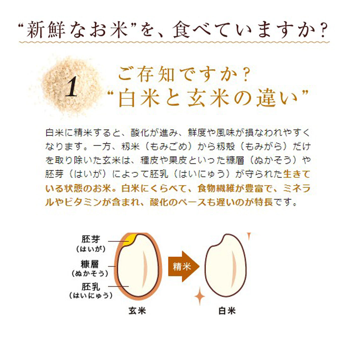 ライフコンシェルジュ|厳選玄米三銘柄食べくらべ 卓上型コンパクト精米機 無料レンタル付きコース（毎月お届け２ｋｇ）