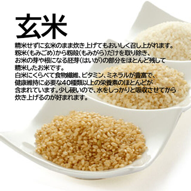 ライフコンシェルジュ|毎月お届け熊本県産　森のくまさん　６kg玄米