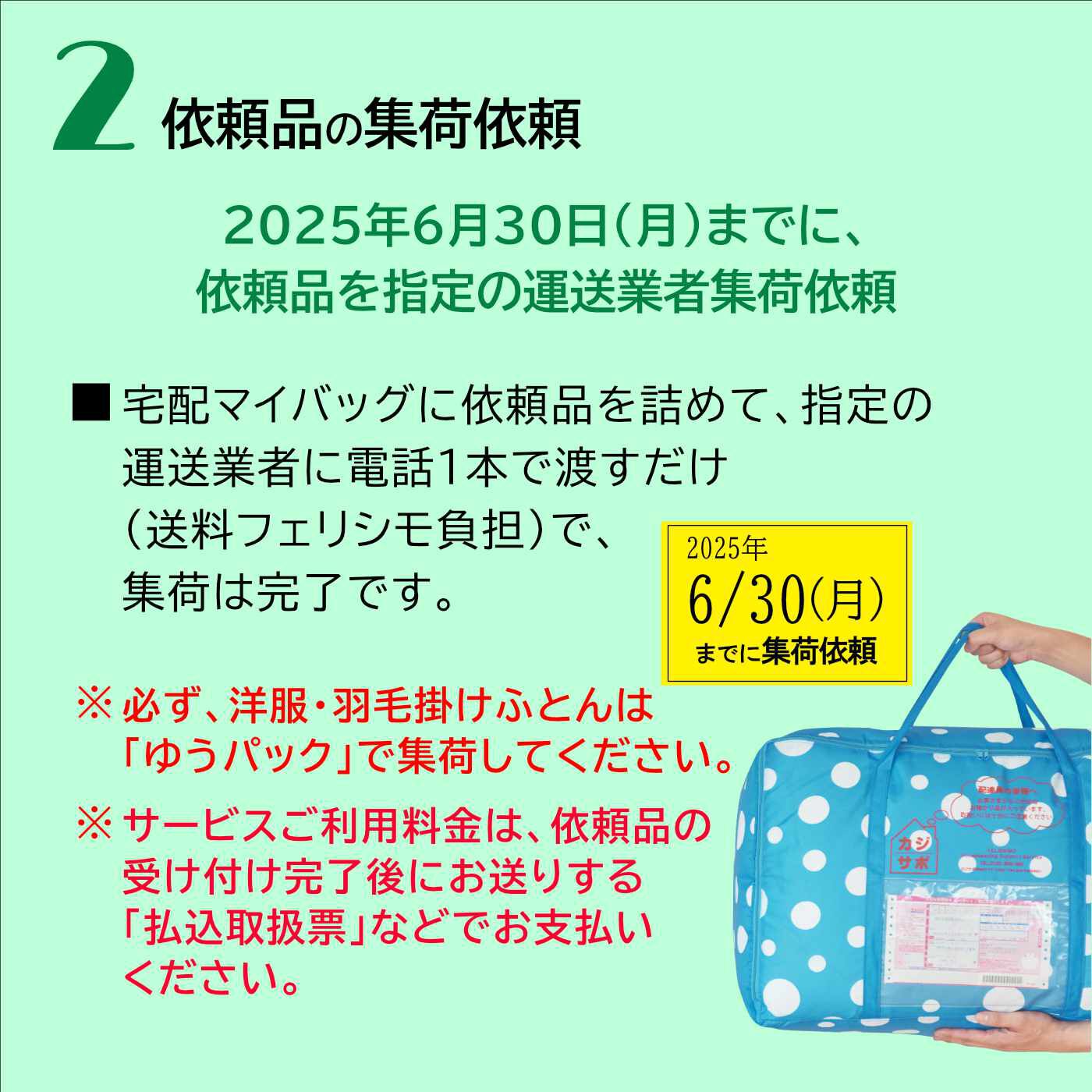 ライフコンシェルジュ 定期便|《カジサポの宅配クリーニング春得キャンペーン》【 最長11月末まで保管料無料コース】羽毛掛けふとん丸洗い+保管専用 宅配マイバッグ付きお申し込みキット（初めての方用）