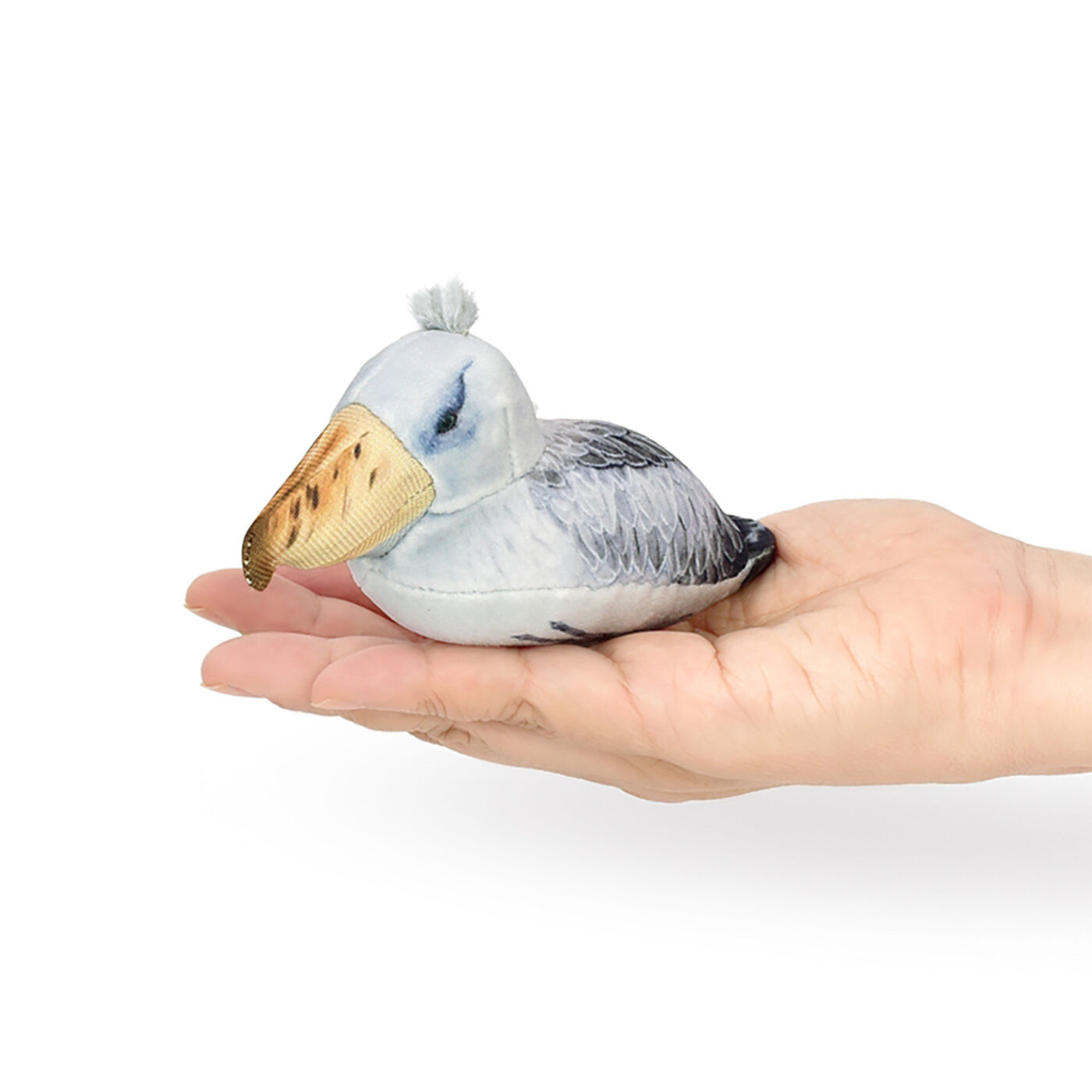 【中古】 ぴいかぶう ２１世紀の赤ちゃんへのメッセージ/フェリシモ 楽天市場】フェリシモ（ホビー）の通販