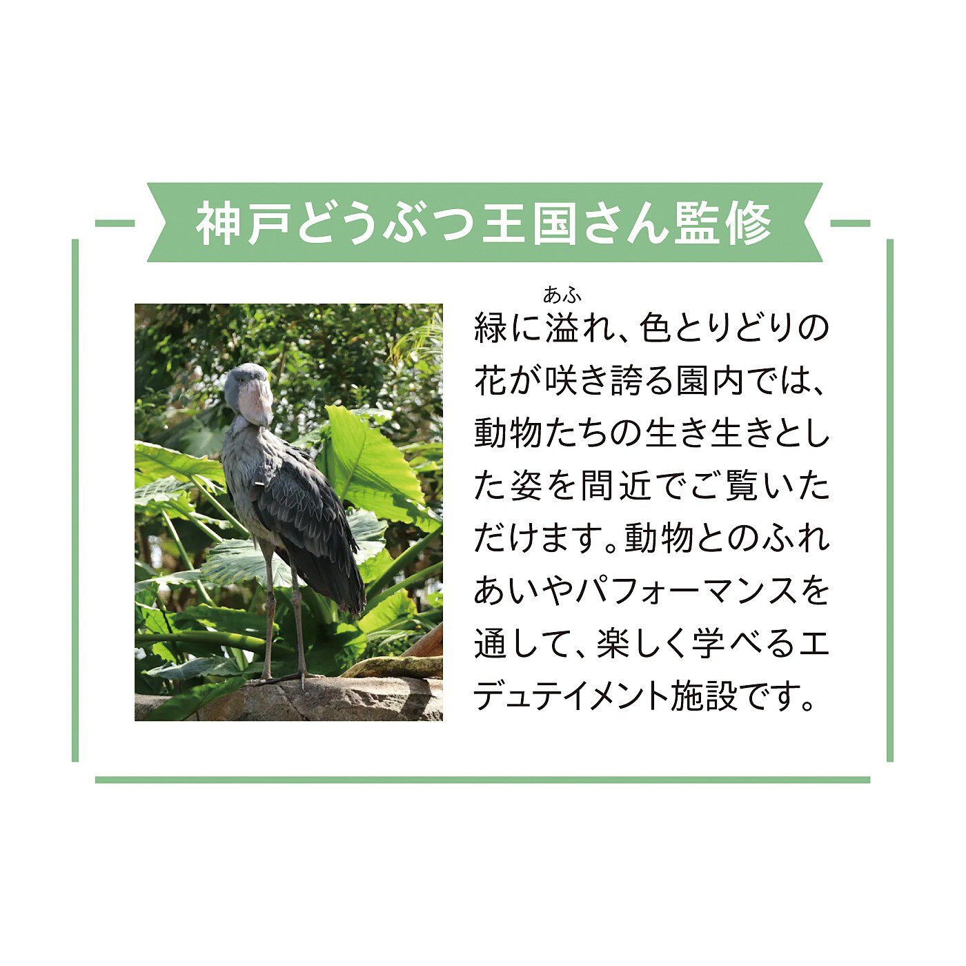 フェリシモギフトショップ|YOU＋MORE!　もっちりハシビロコウ　おすわりクッション〈おひざサイズ〉