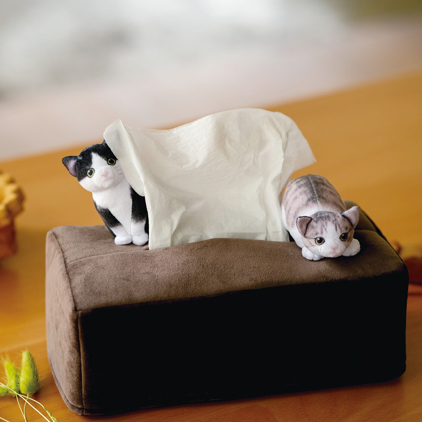 フェリシモギフトショップ|子猫がかくれんぼする　ボックスティッシュカバー