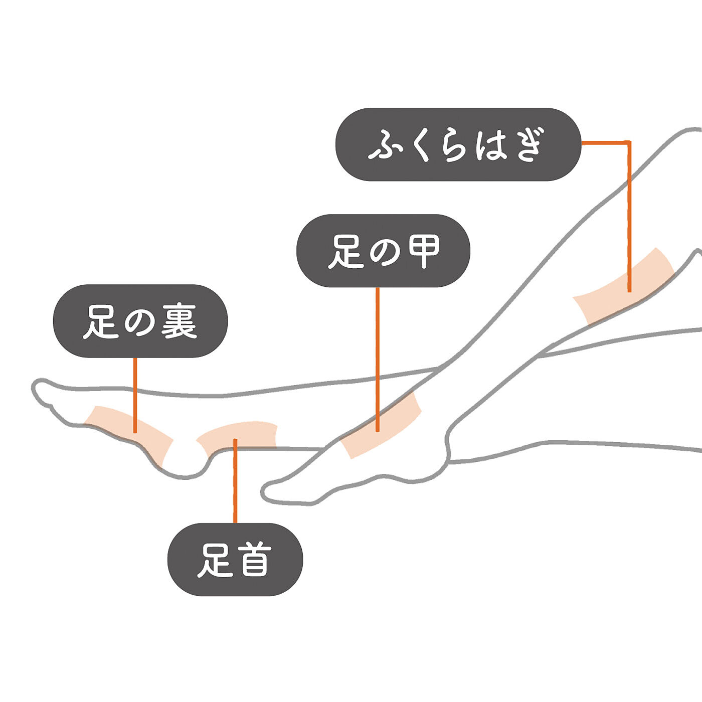 フェリシモギフトショップ|がんばるからだにじんわりリラックス　しょうがの温感リフレッシュシート　めぐリフレ　ジンジャーホット|こんな場所におすすめ