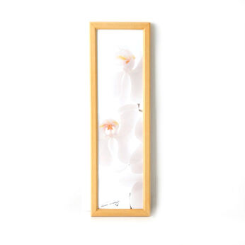 フェリシモギフトショップ | Ｌａ　ｆｌｅｕｒｏｒｃｈｉｄ　３