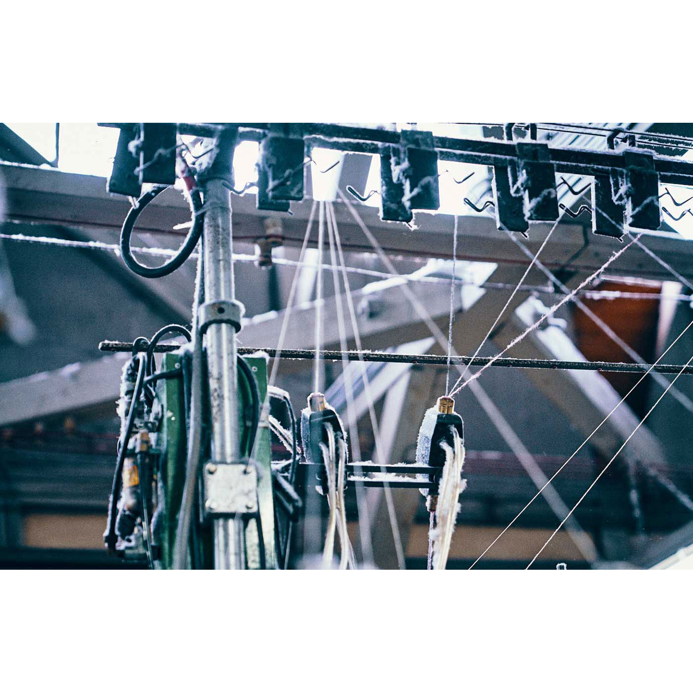 フェリシモギフトショップ|ウール91％　あったかでやわらか！ 厚みをおさえたファインウールソックス〈Hooh〉