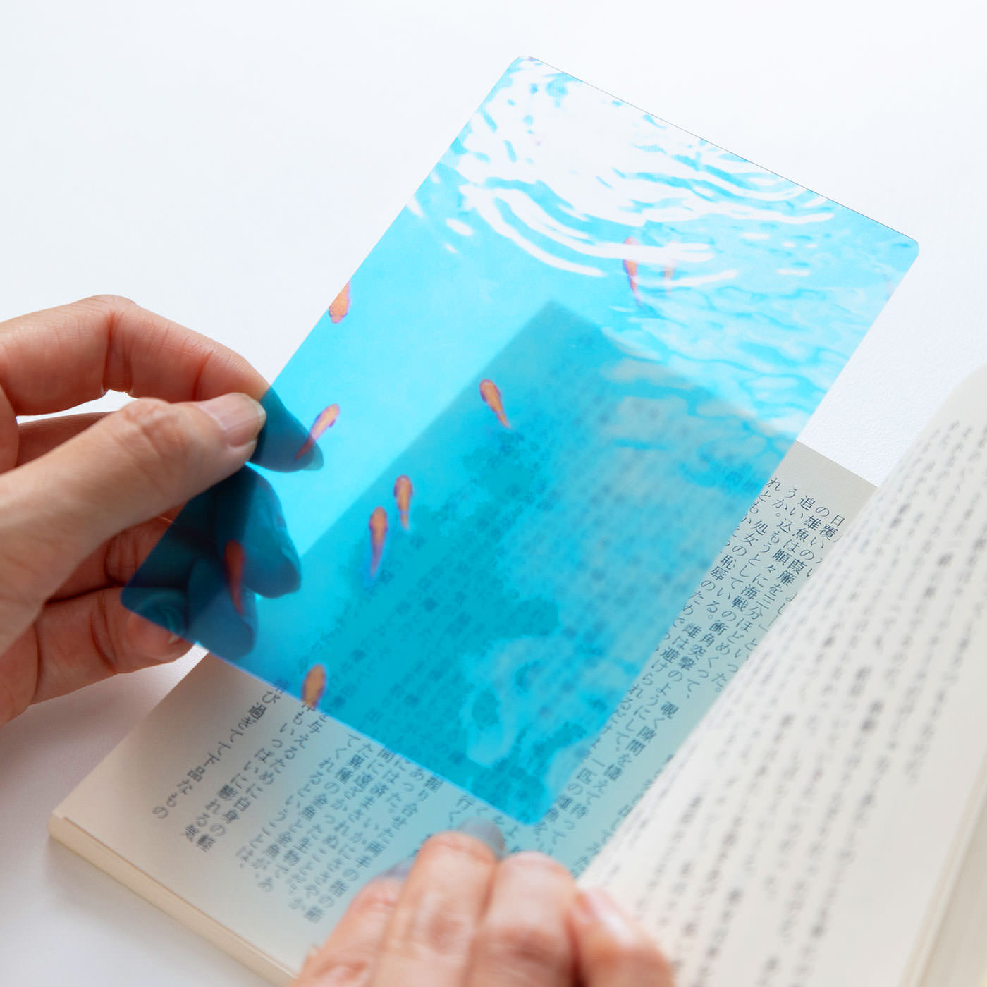 フェリシモギフトショップ|［Fu’s Note］本の中を金魚が泳ぐ！？　金魚の透明しおりセット〈三尾和金・琉金＆小赤〉|小赤：水の青と金魚の赤、インパクトのある美しい色の組み合わせが素敵！