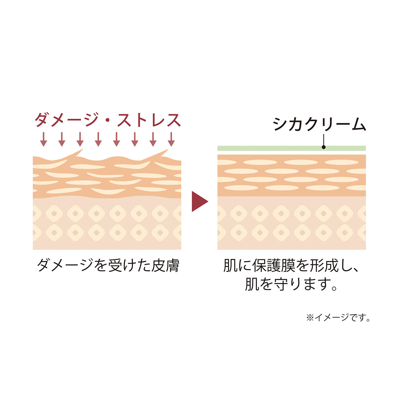 フェリシモギフトショップ|CICA method　薬用クリーム