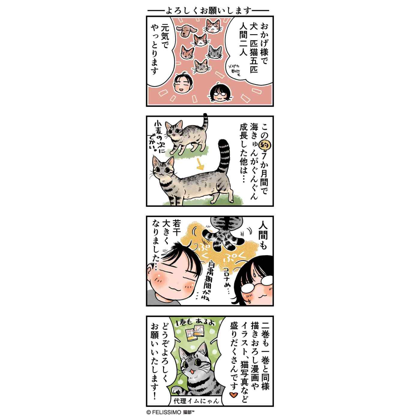フェリシモギフトショップ|コミック『猫まみれライフ』第2巻