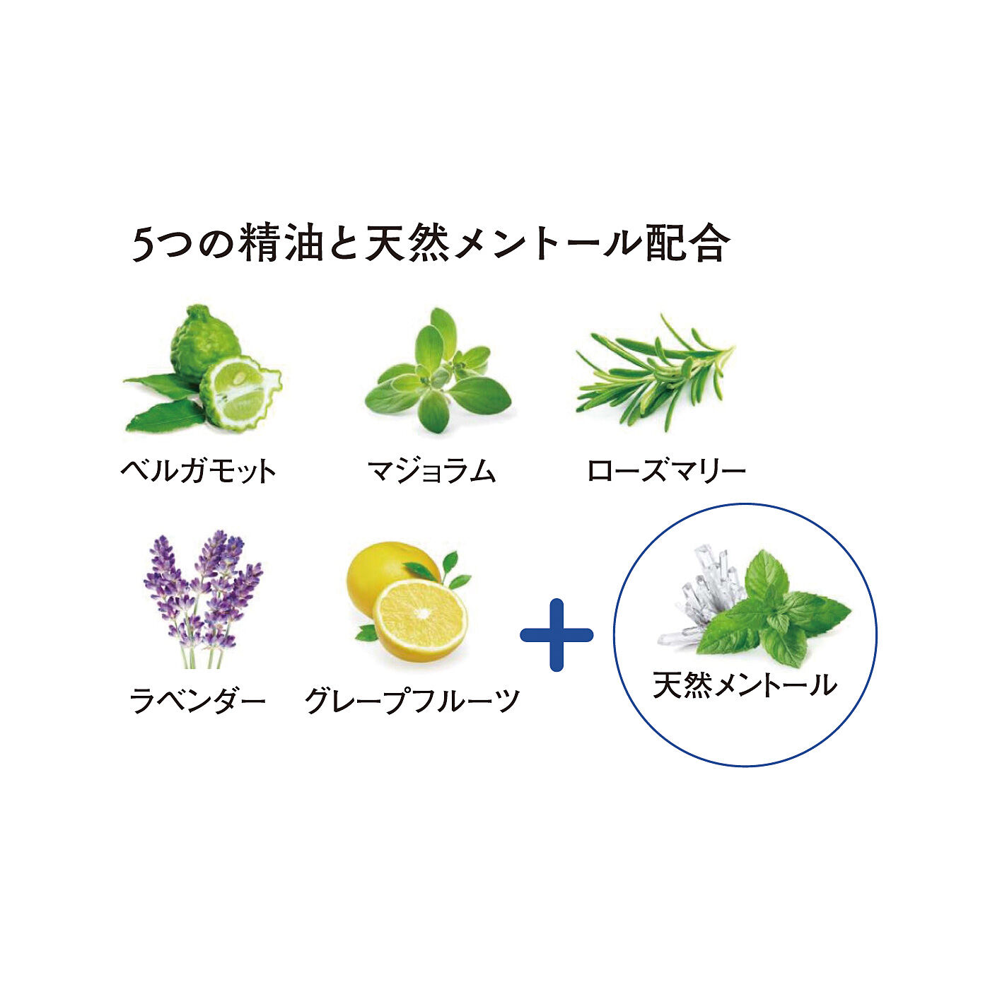 フェリシモギフトショップ|がんばる脚に　ス～っとハーブの贈りもの　リフレッシュシートめぐリフレ