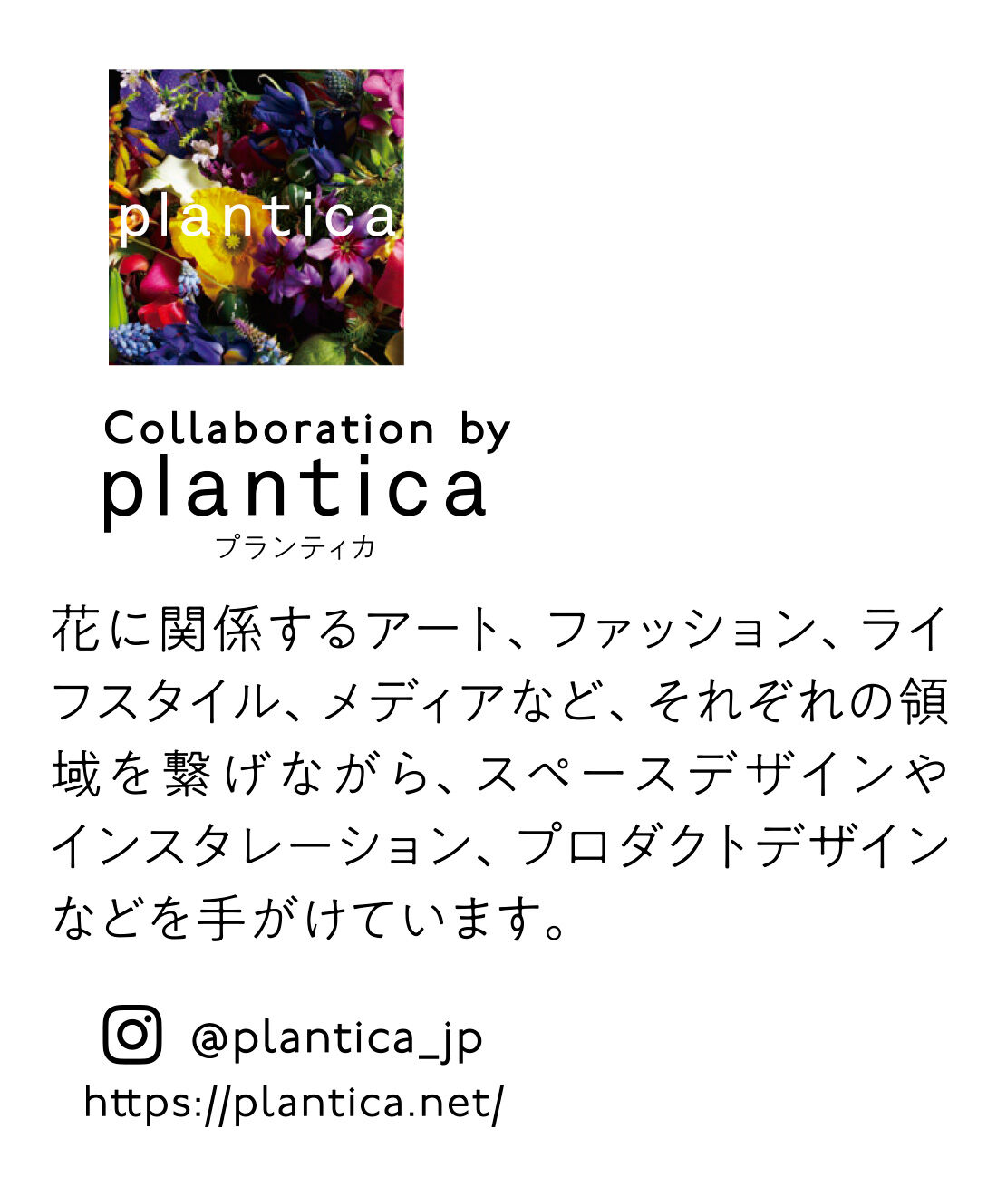 フェリシモギフトショップ|リブ イン コンフォート×plantica 美しく咲き誇る コットンTシャツ by LOVE＆PEACE PROJECT〈ホワイト〉
