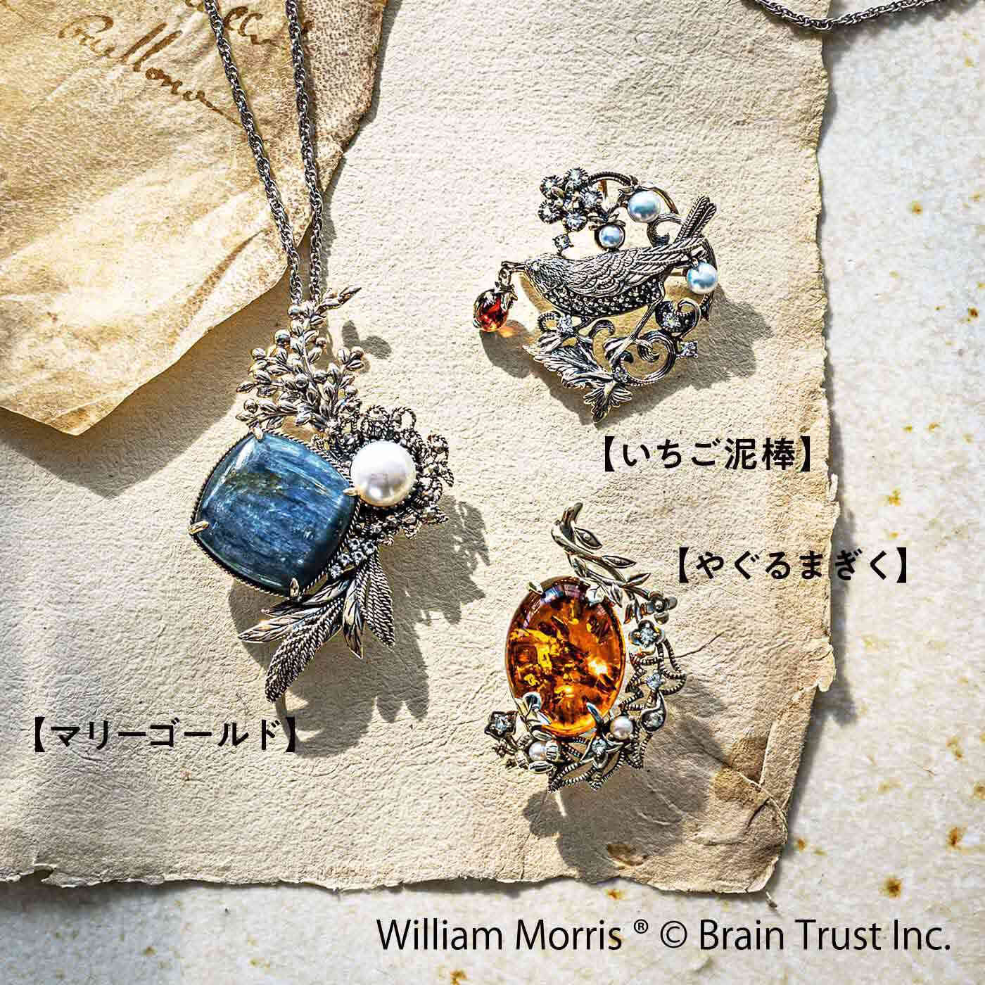 フェリシモギフトショップ|精巧な作りにうっとり ウィリアム・モリス ブローチ/ペンダントヘッド やぐるまぎく