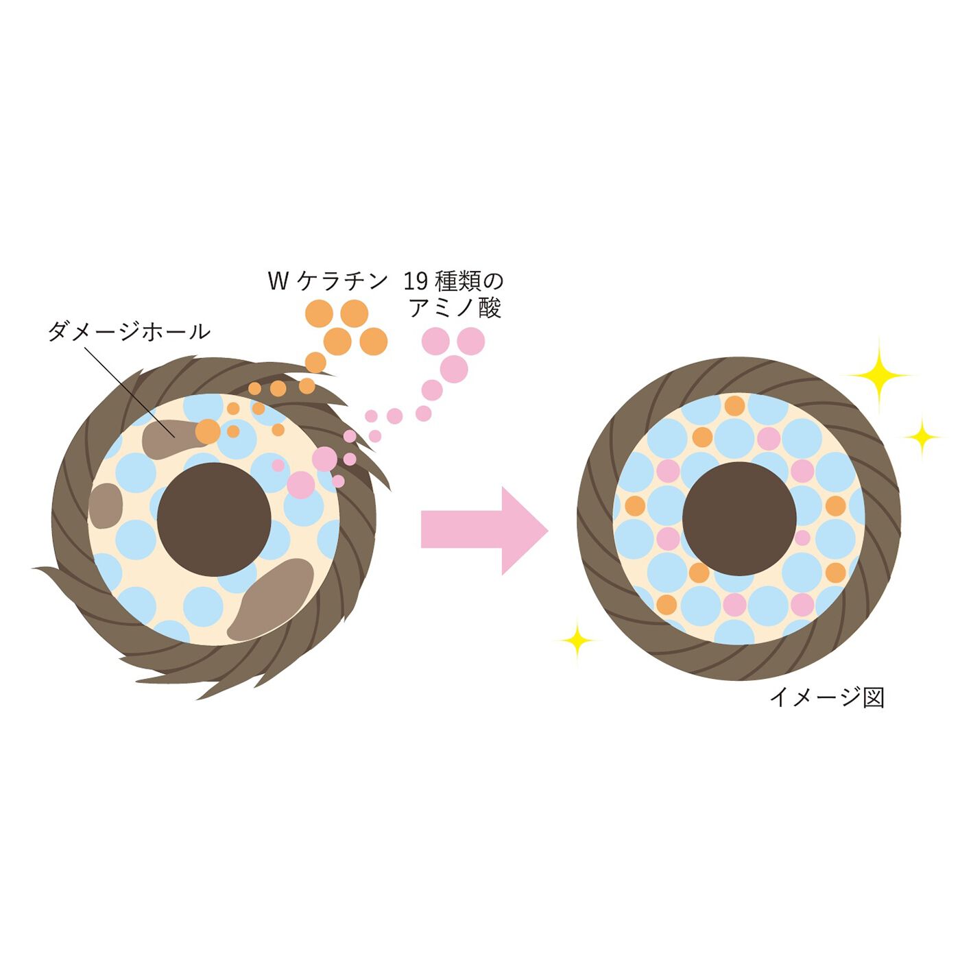 フェリシモギフトショップ|アミノマスター　コンパクトサイズ　シャンプー＆トリートメント〈さらさらタイプ〉|髪のダメージホールを埋める本格補修成分配合