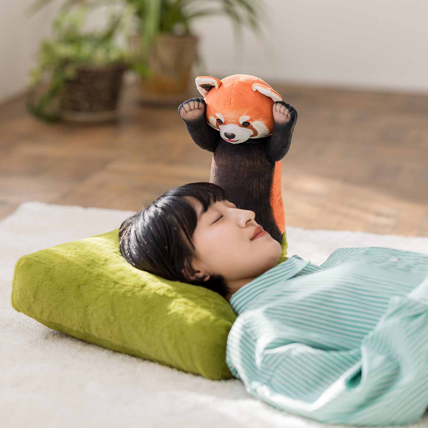 【まとめ買い】 YOU+MORE! お昼寝クッション レッサーパンダに威嚇される ぬいぐるみ