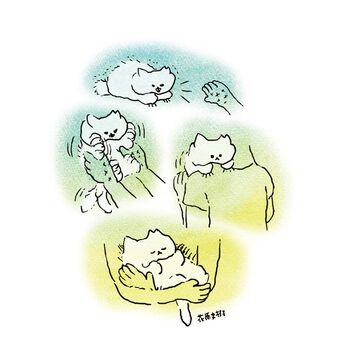 フェリシモギフトショップ | 花原史樹地域猫Ｔ２０２５