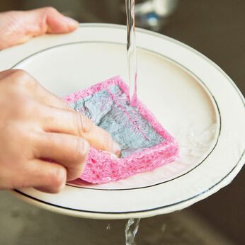 フェリシモギフトショップ | 水で膨らむポップアップスポンジ２個