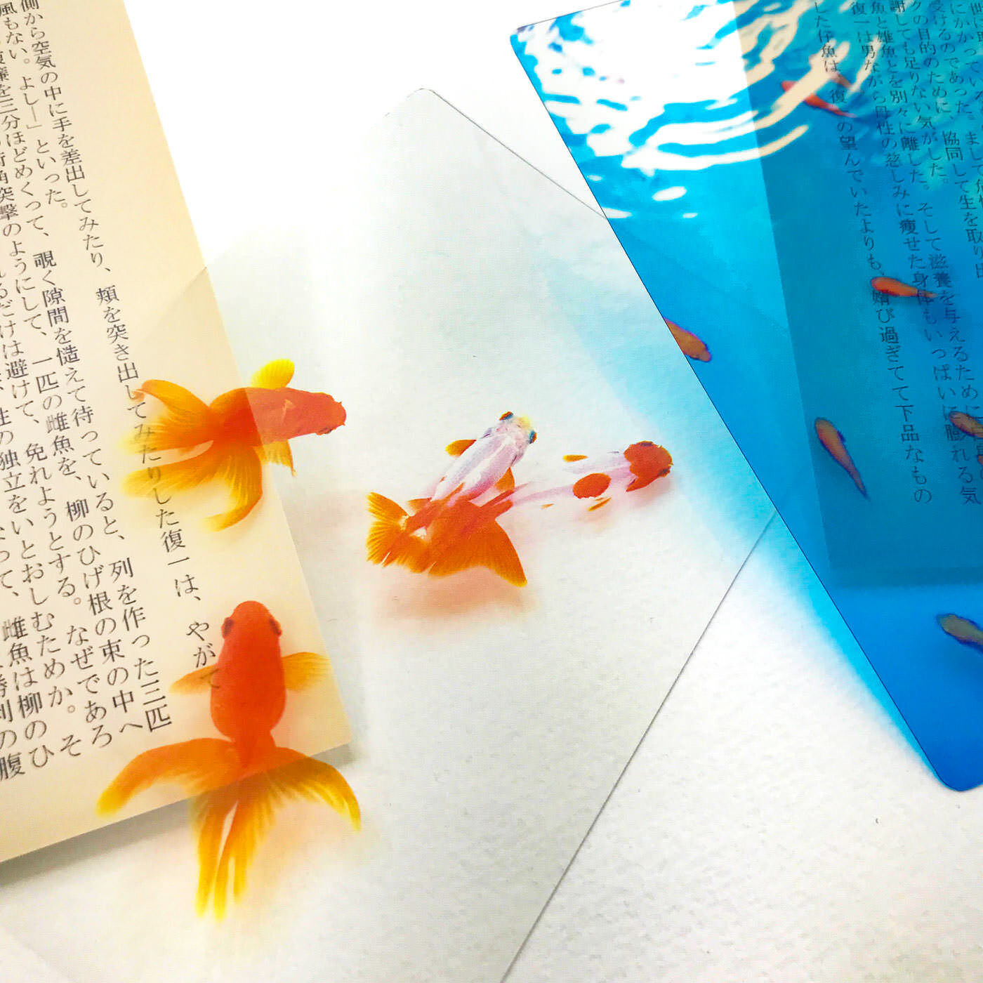 フェリシモギフトショップ|［Fu’s Note］本の中を金魚が泳ぐ！？　金魚の透明しおりセット〈三尾和金・琉金＆小赤〉