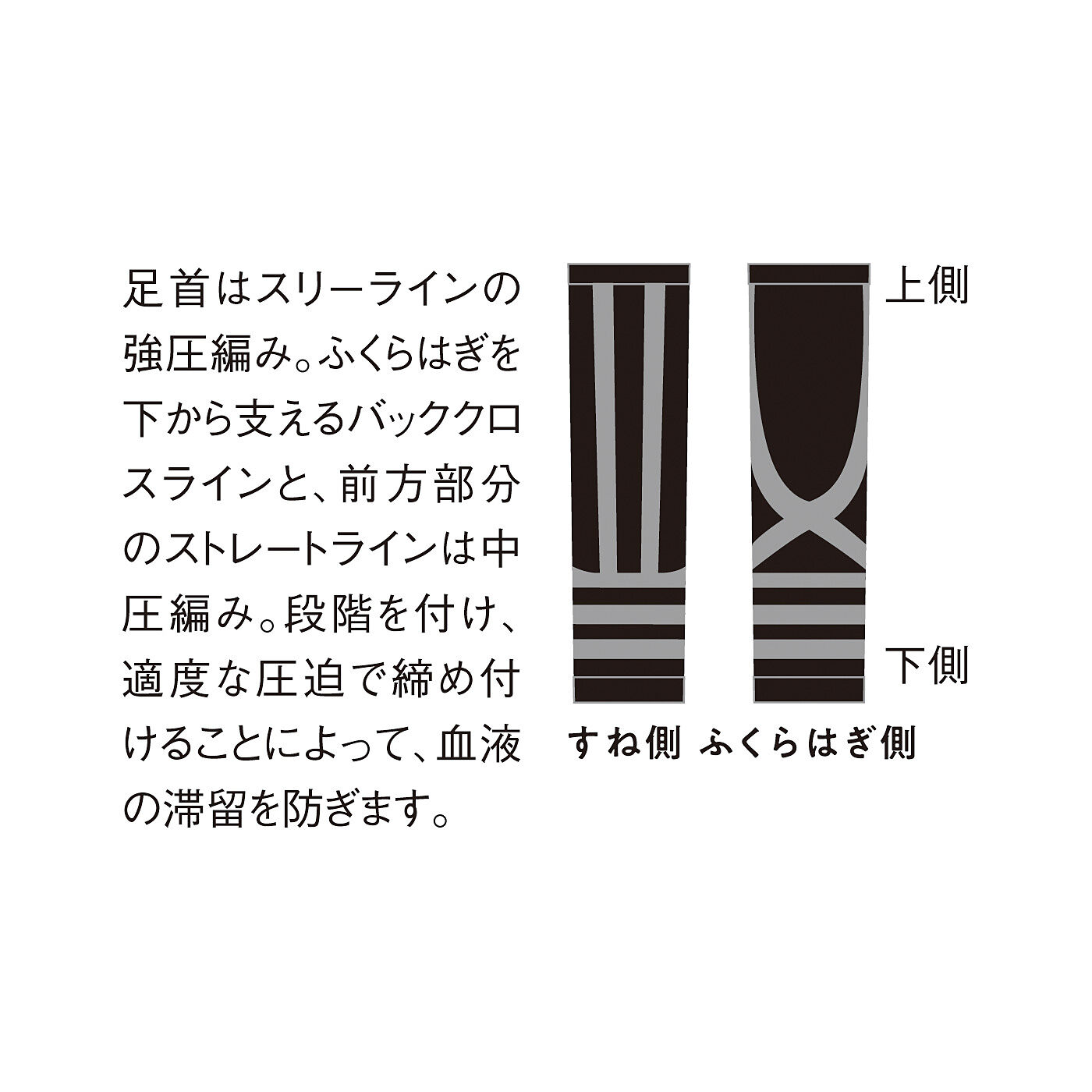 フェリシモギフトショップ|段階着圧で動作をサポート　むくみや脚の疲れを軽減　ムクナインアクティブ〈ベージュ〉