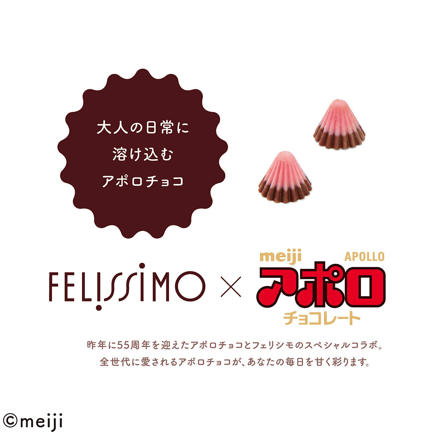 フェリシモギフトショップ|YOU＋MORE!　大人もときめくビッグなアポロのきんちゃくバッグ