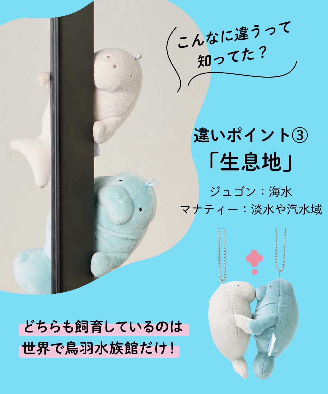 フェリシモギフトショップ|YOU＋MORE!　ジュゴンとマナティーのなかよしマスコットセット