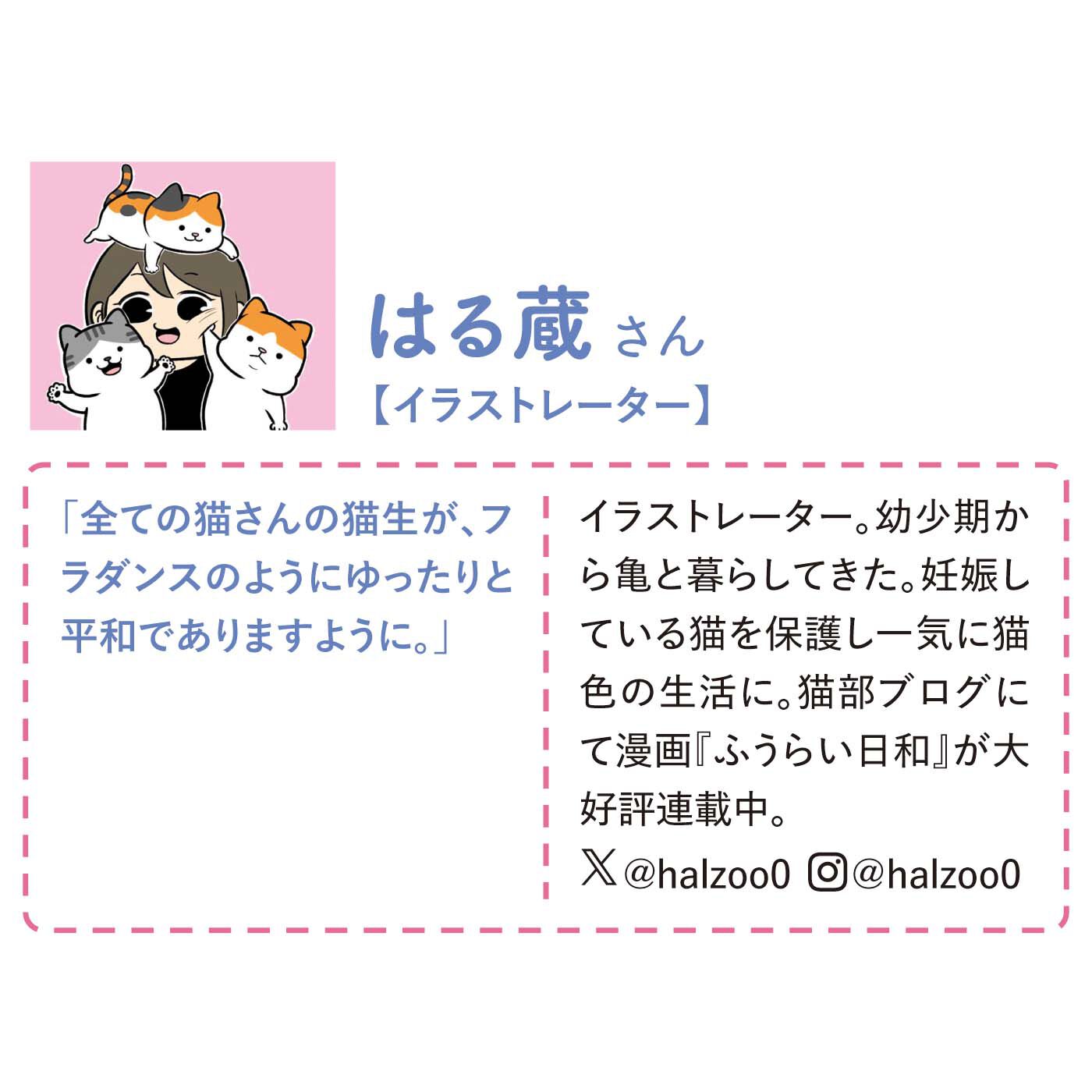 フェリシモギフトショップ|はる蔵×猫部　地域猫チャリティークリアファイルセット2025