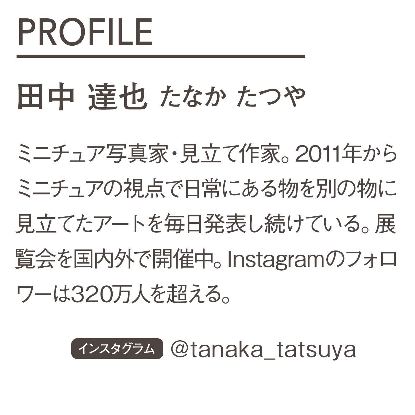 フェリシモギフトショップ|ミニチュアライフの田中さんと作った　見立ての世界の一部になれる　カシューナッツのクッション
