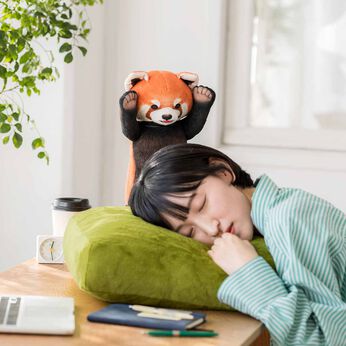 フェリシモギフトショップ | レッサーパンダ威嚇される お昼寝クッション