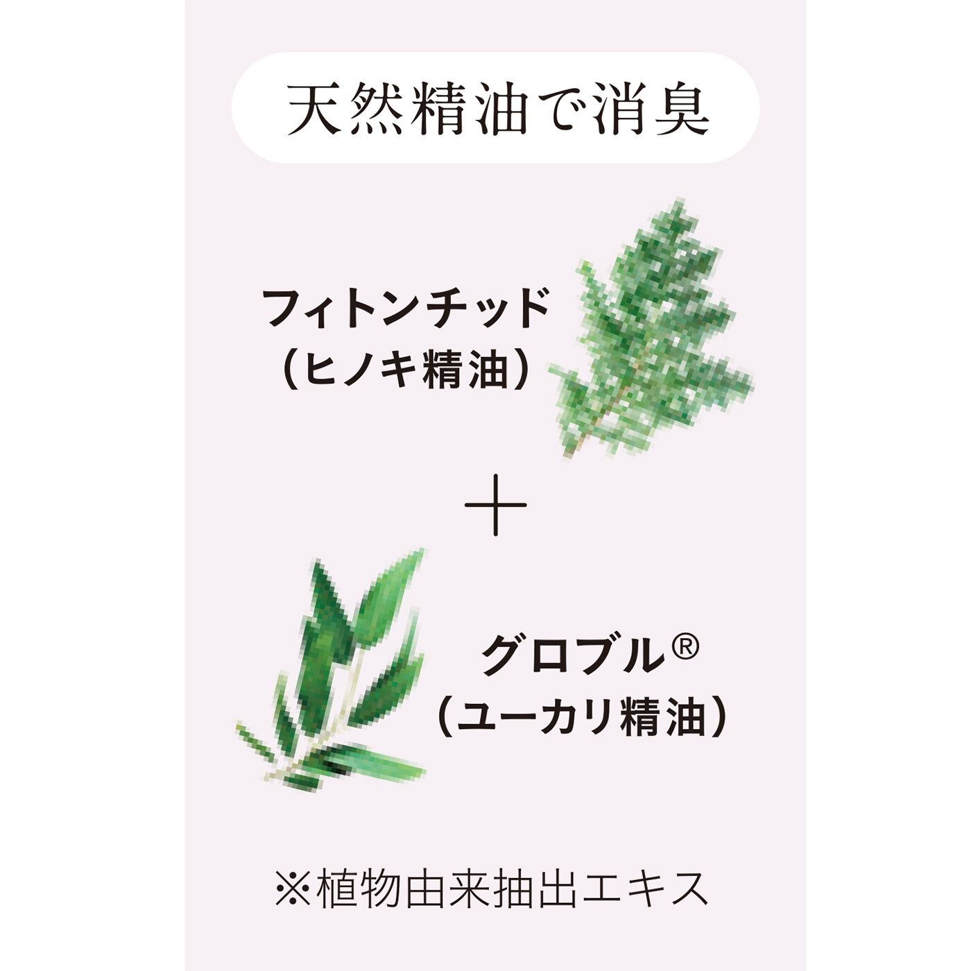 フェリシモギフトショップ|サクラらしくSAKURA　消臭リードディフューザー|消臭成分として、天然精油のヒノキ精油、ユーカリ精油、柿渋エキス、緑茶エキスを配合。