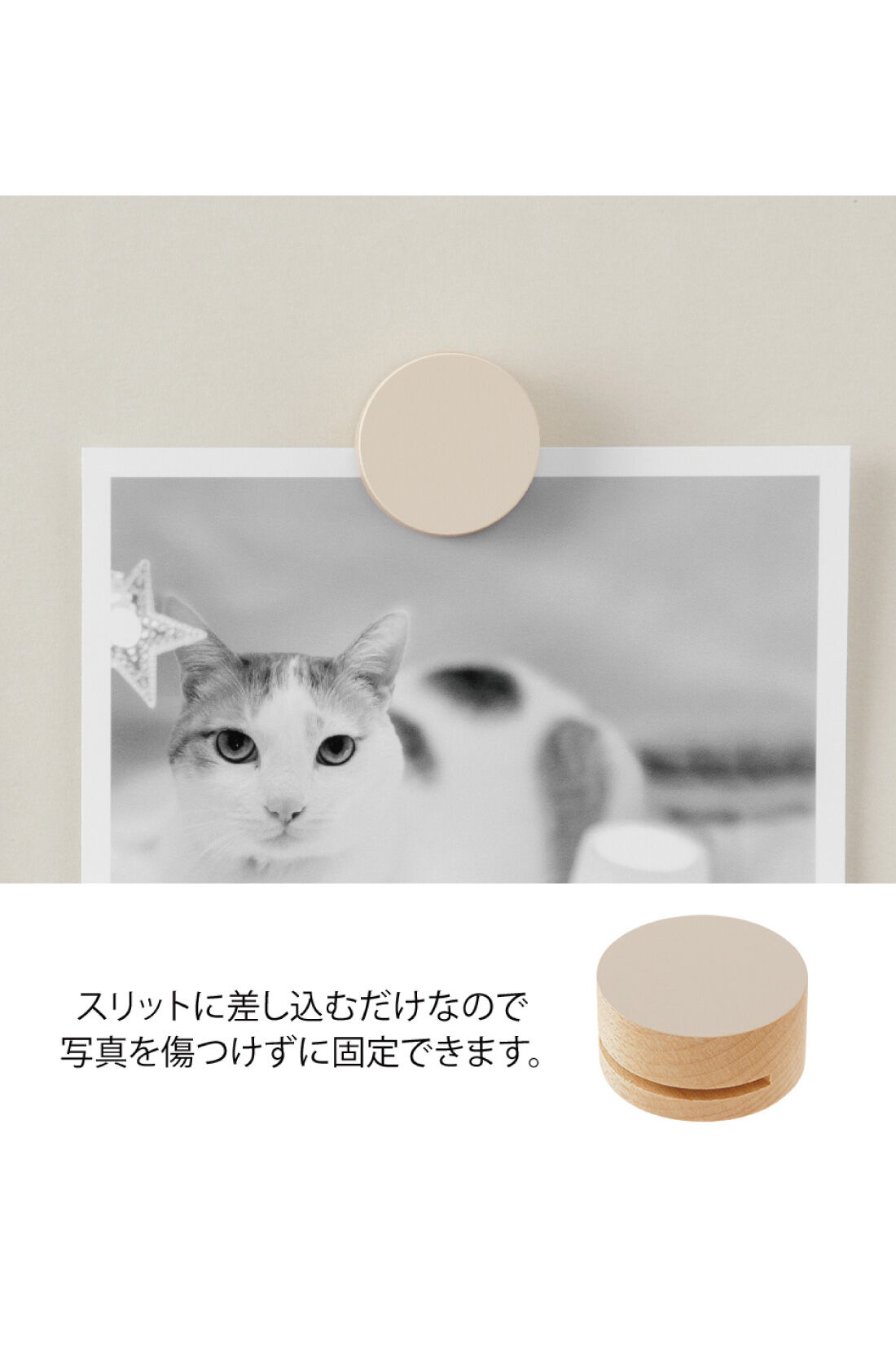 フェリシモギフトショップ|壁に穴を開けずに飾れる　木のピクチャークリップ