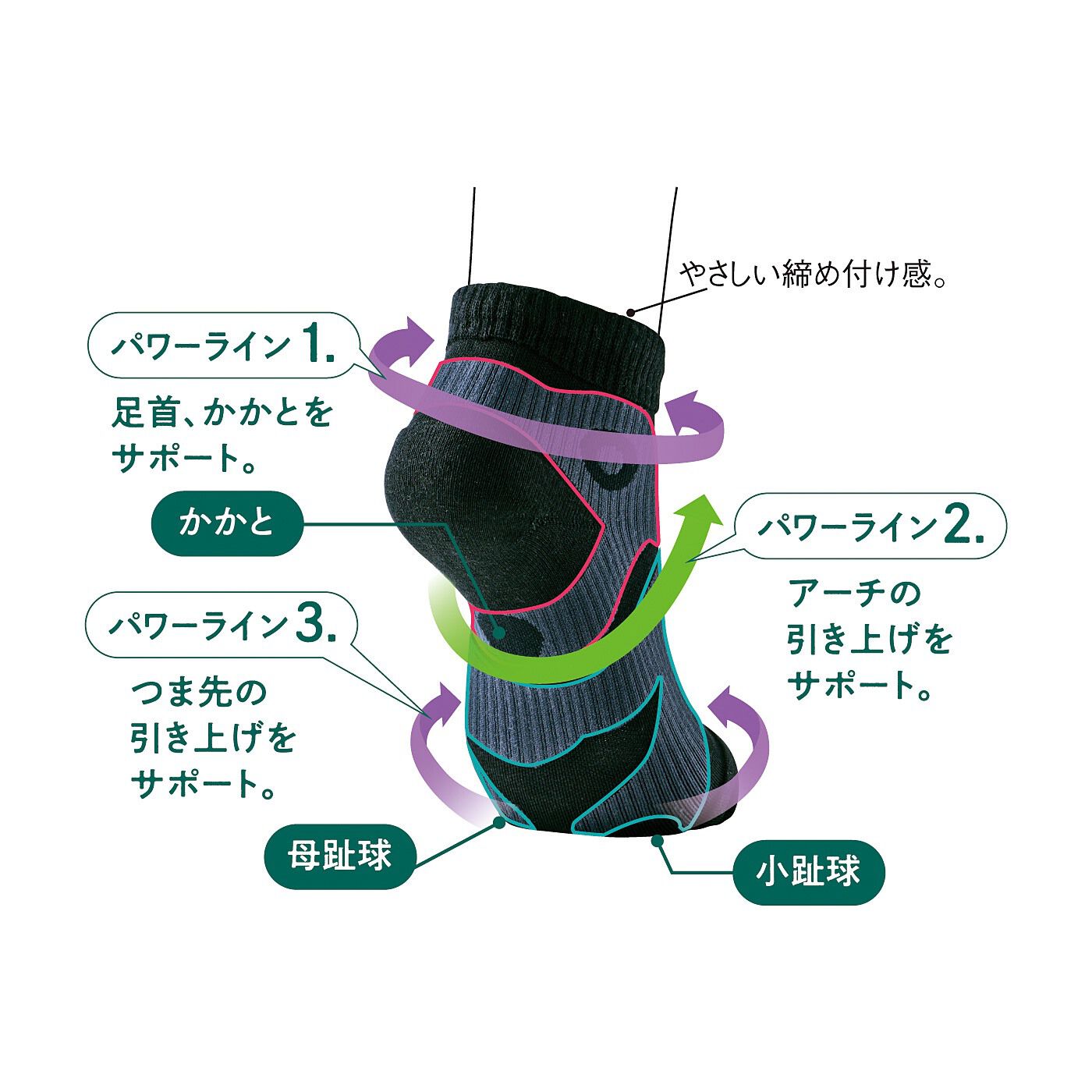 フェリシモギフトショップ|ラミプリュス　アスレティックトレーナーと共同開発した　アーチバランスソックス〈ブラック〉