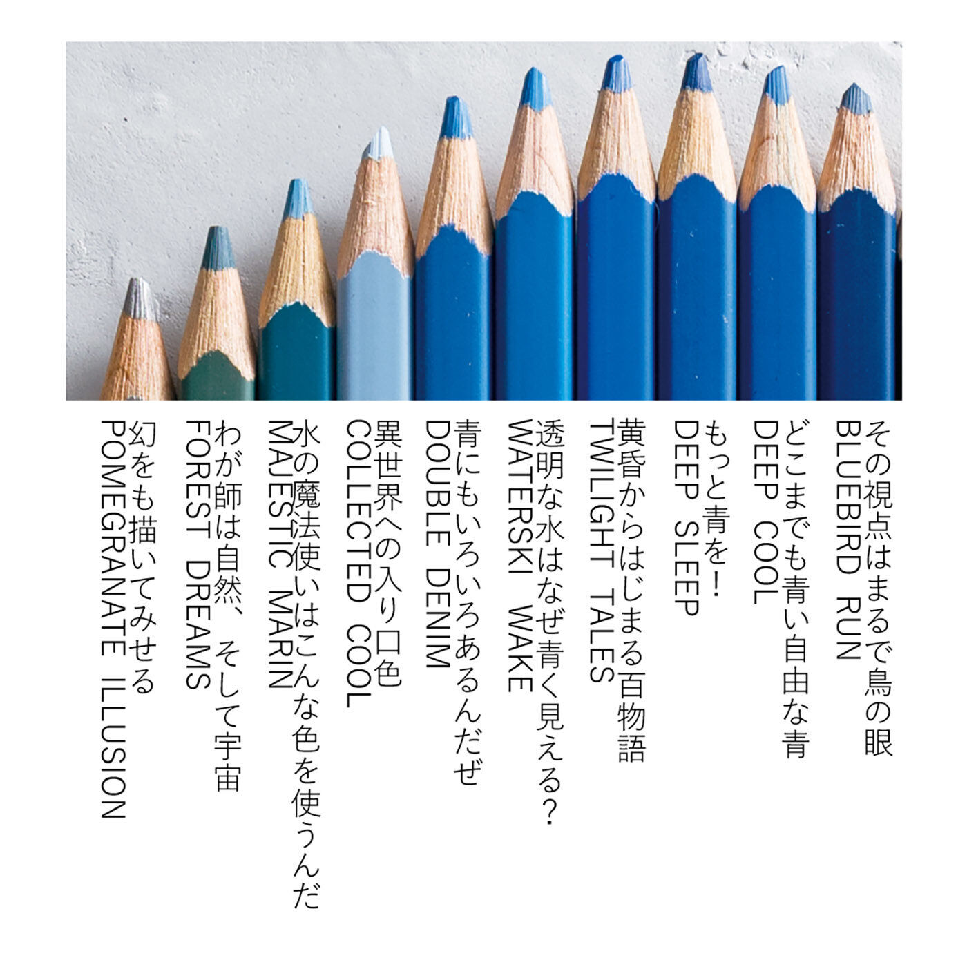 フェリシモギフトショップ|江戸をぬりつぶせ！ HOKUSAI色えんぴつ【20/500 COLORED PENCILS】葛飾北斎カラー