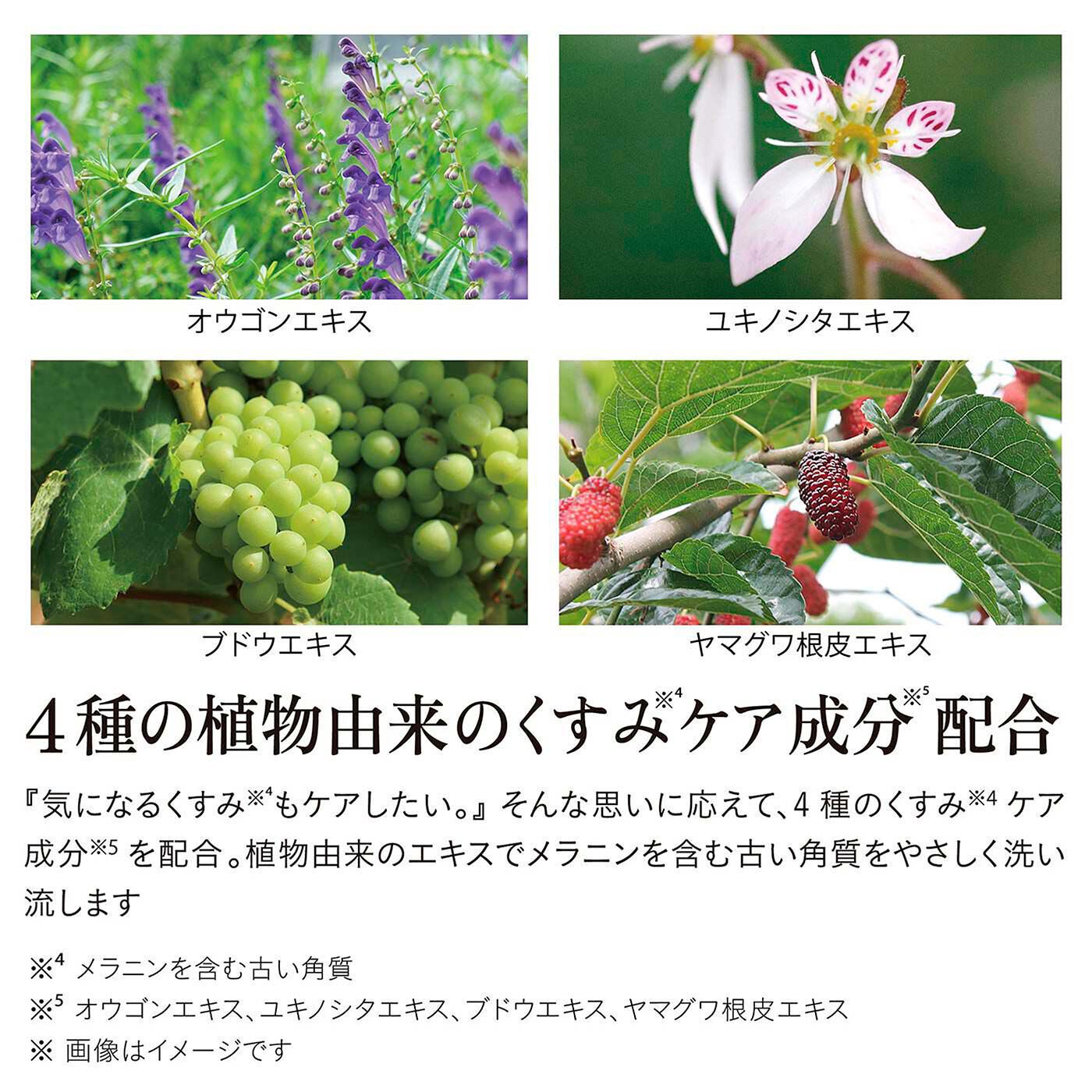 フェリシモギフトショップ|iroha　インティメートウォッシュ　フォームタイプ〈詰め替え用〉