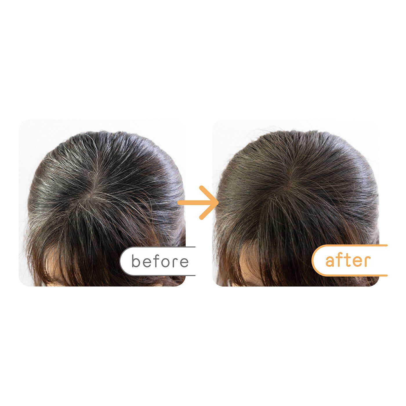 フェリシモギフトショップ|お出かけ前の生え際メンテ！　白髪を隠すふさポンくろポンヘアパウダー〈こげ茶〉|伸びてくると目立つ、生えぎわの白髪。手を汚さず、自然に白髪が隠れてボリュームも出ます。カラー：こげ茶使用