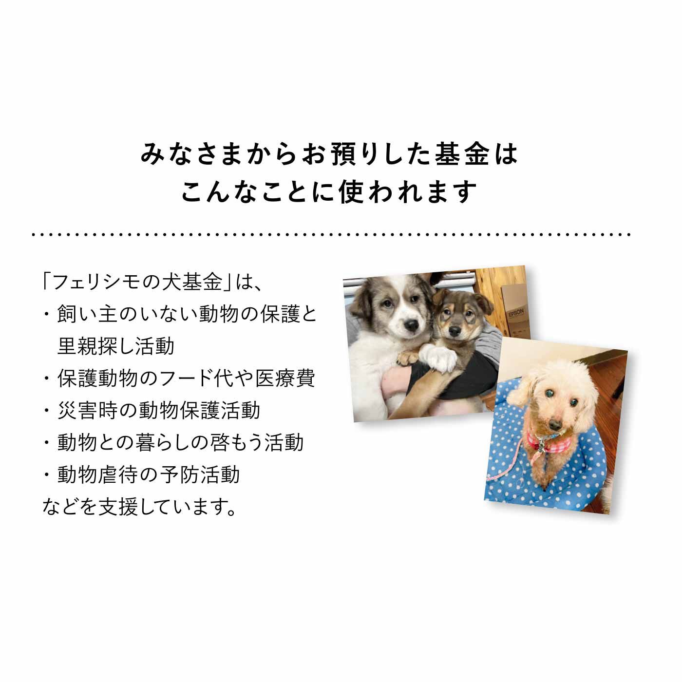 フェリシモギフトショップ|わんわんチャリティーハンカチ〈セツサ チアキさん〉