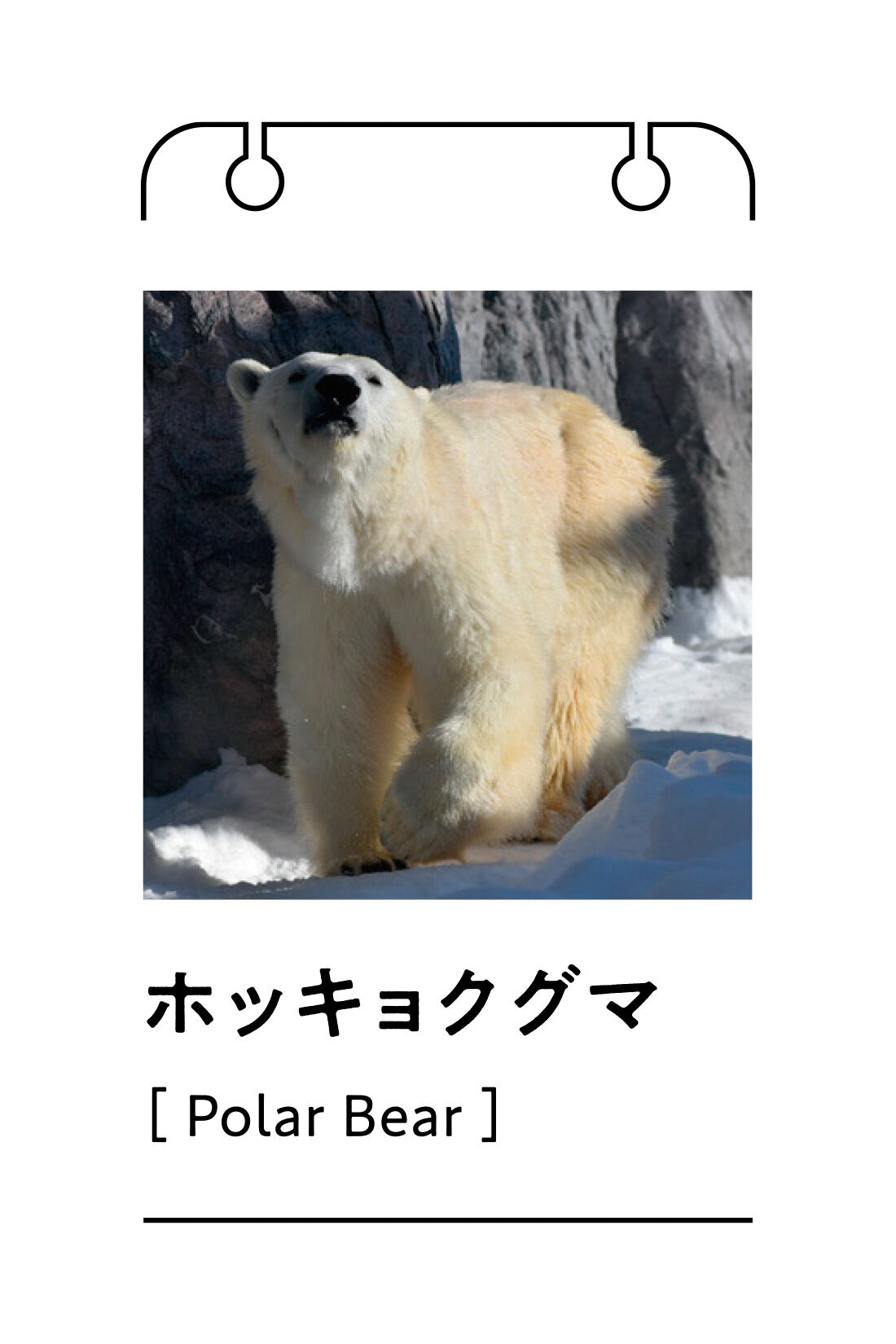 フェリシモギフトショップ|旭山動物園・ボルネオの森応援商品　リブ イン コンフォート　ホッキョクグマと一緒にすやすや　ふんわりやさしいコットンのキルティングパジャマ〈ミントグリーン〉