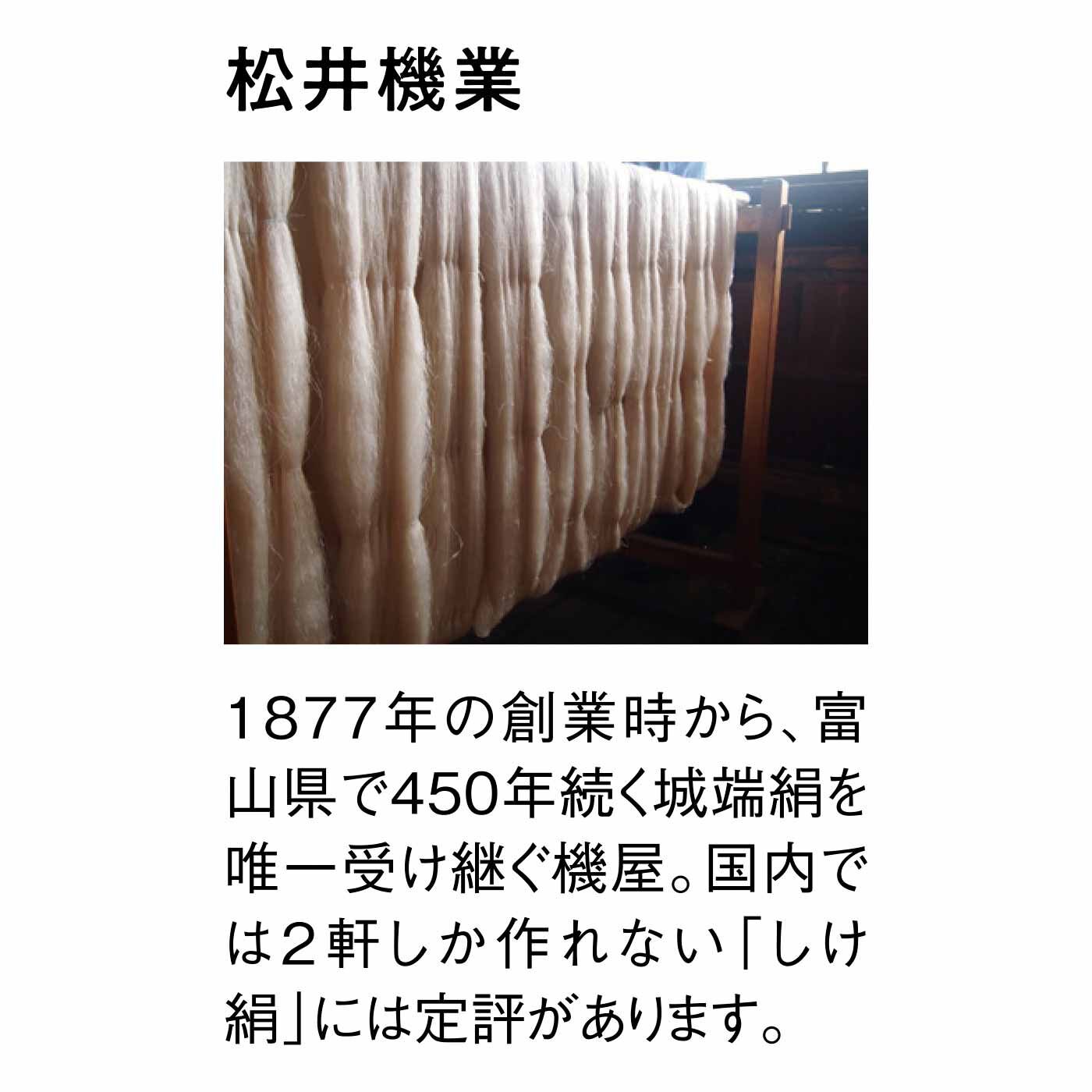 フェリシモギフトショップ|寝ている間に髪のコンディションを整える シルク美髪枕カバー