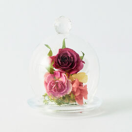母の日の花ギフト | ボトルフラワー