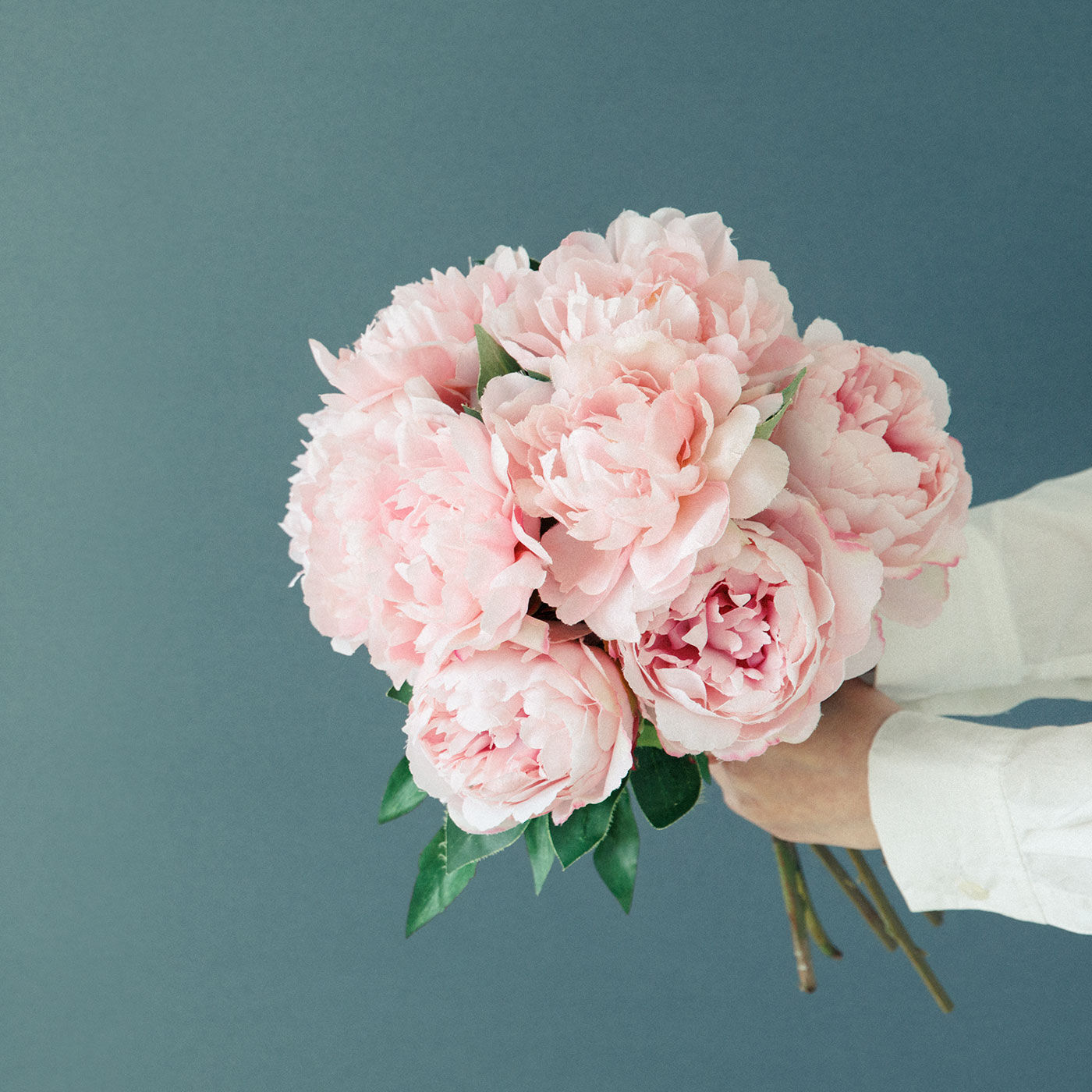 母の日の花ギフト|6本で華やかに 大輪の花咲くシャクヤクブーケ