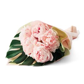 母の日の花ギフト | ５本シャクヤク